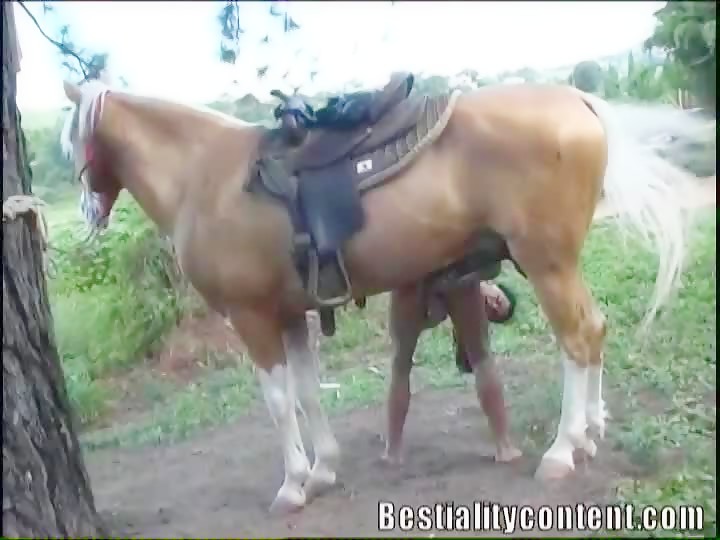 Milly Brazil Horse Porn - Horse Gisele 3 BestialityContent - Bestialitysextaboo ...