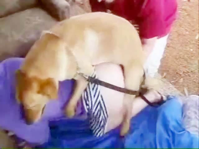 Indian Girl Animal Sex - Bestiality - Animal Sex - Dog Very Like To Fuck A Girl Outoor ...